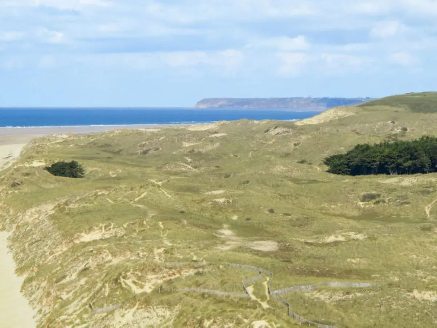 Les Chardonnets (BNV400)