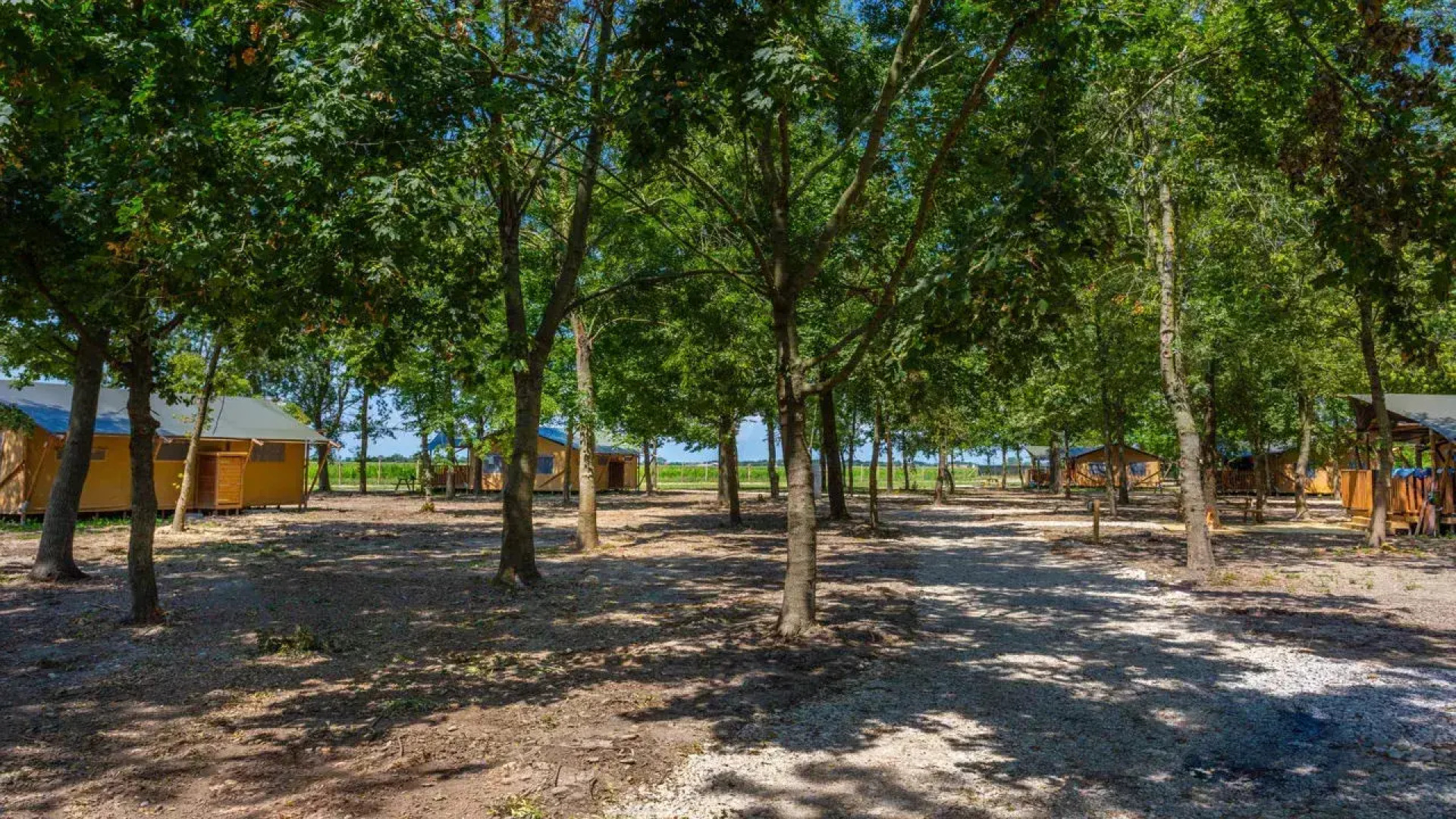 Tenuta Regina Agriturismo e Glamping