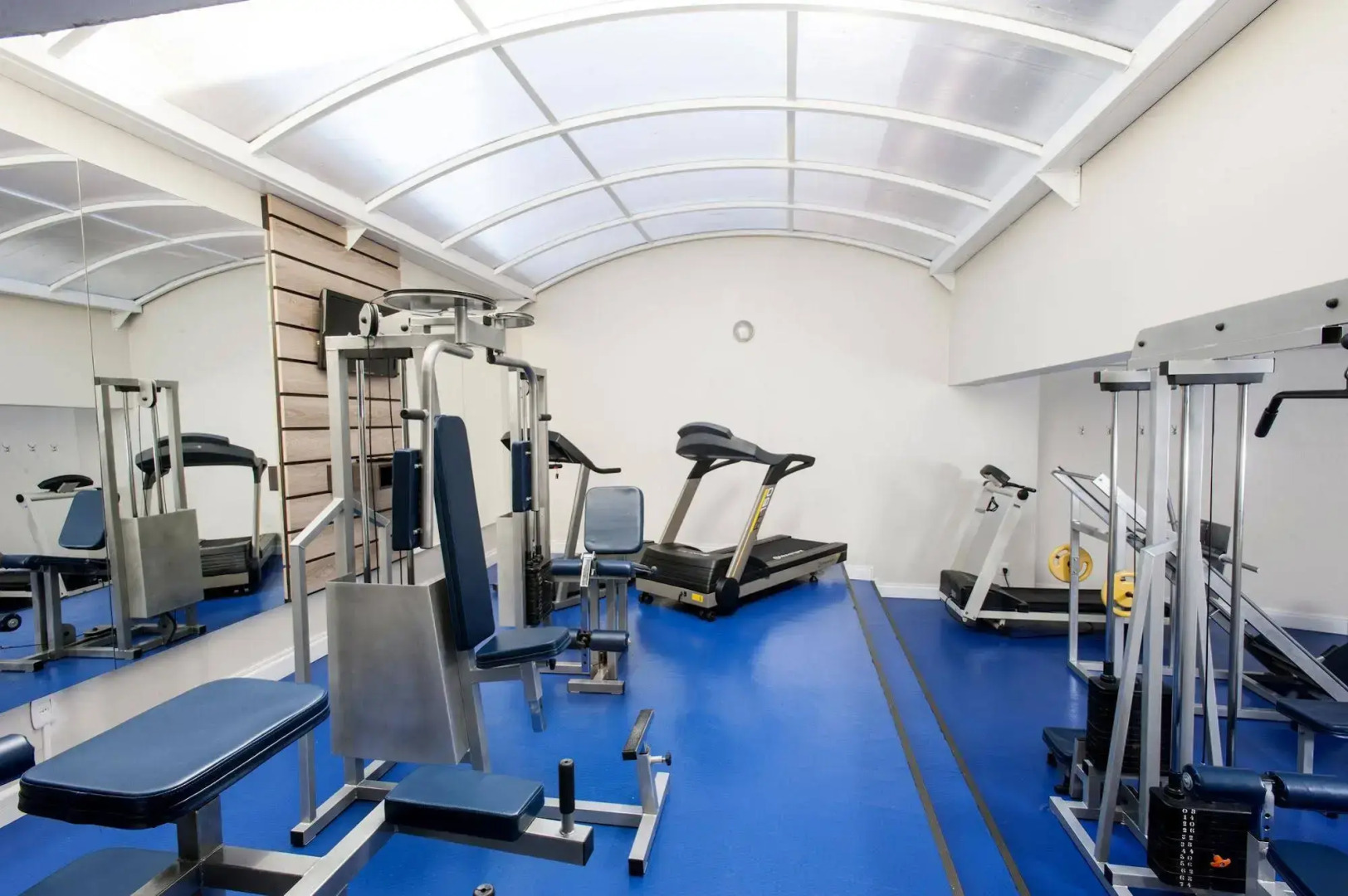 Swan Generation Porto Alegre