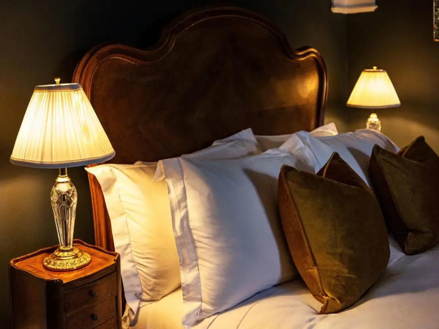 The Forest at Mount Congreve Gardens