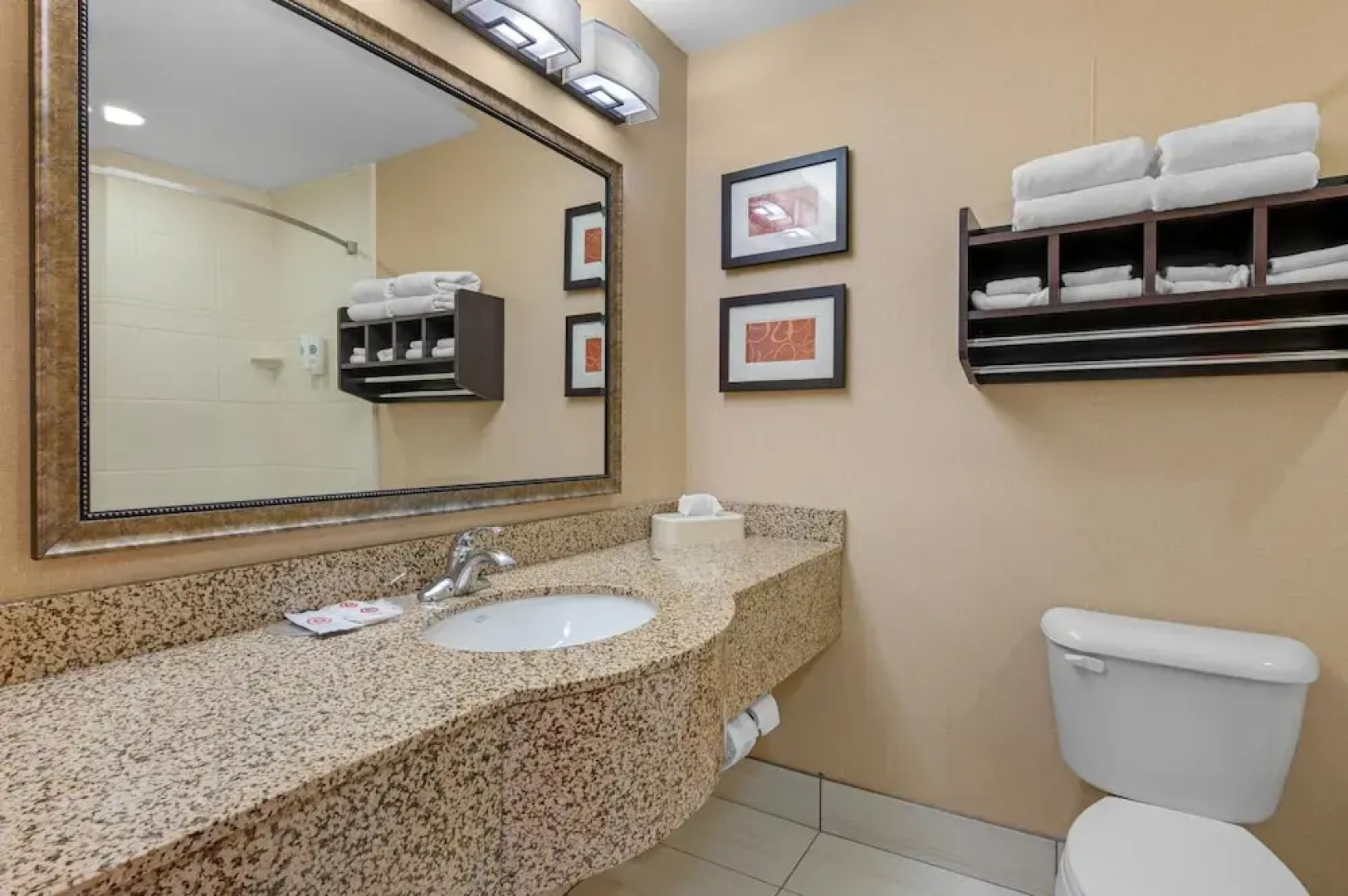 Comfort Suites South Bend