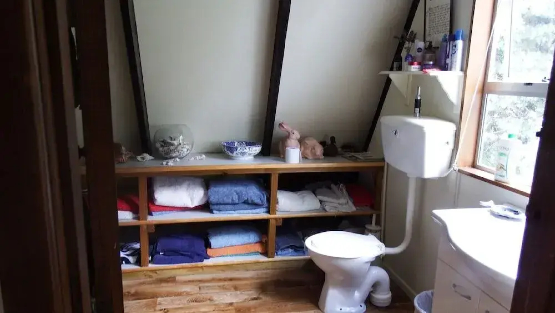 Dunstan Downs High Country Sheep Station