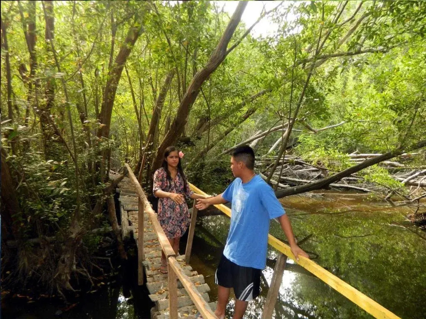 Jardines Los Cormoranes