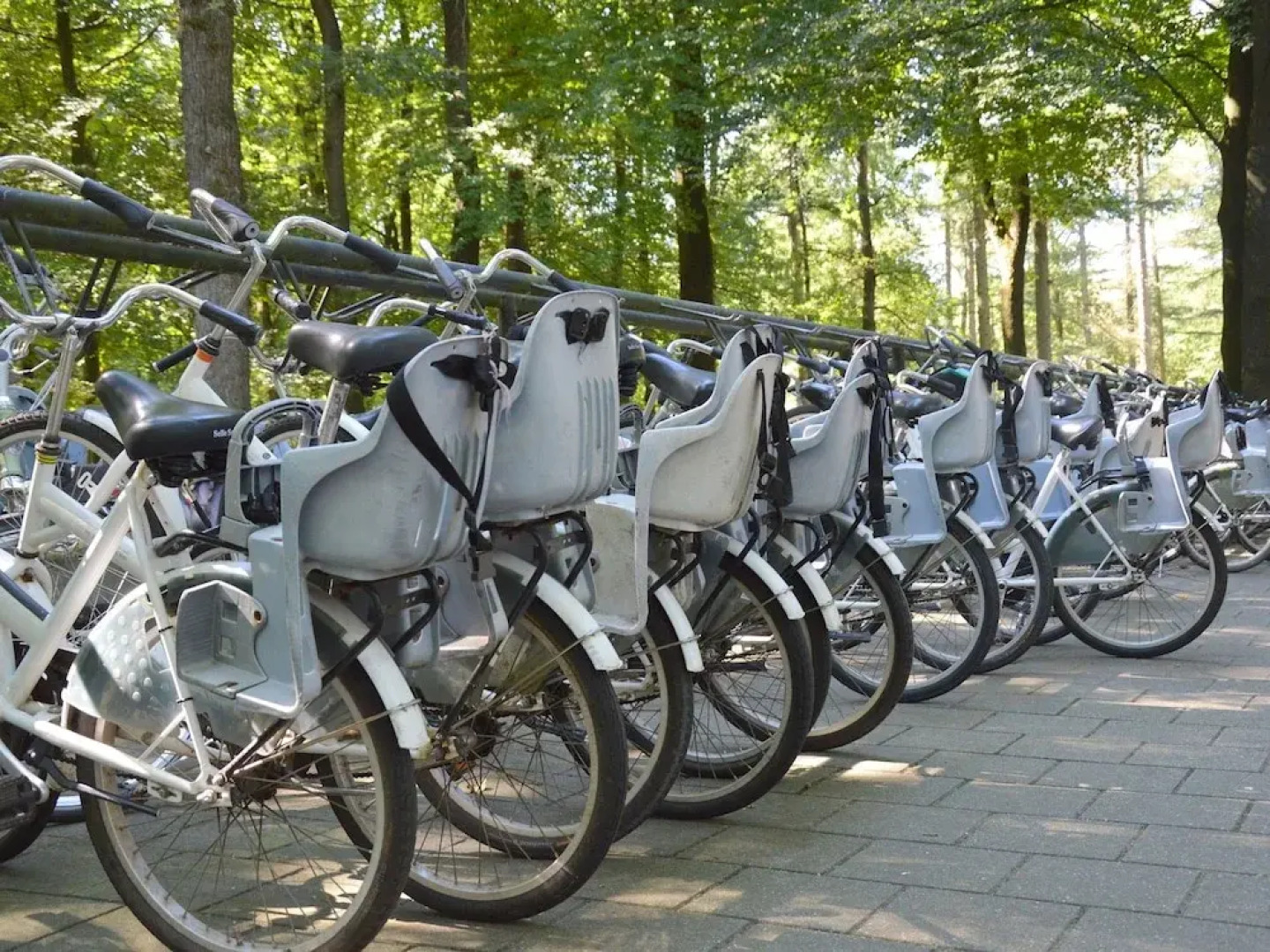 Modern Holiday Home With a Luxury Walk-in Shower and Enclosed Private Garden in Putten