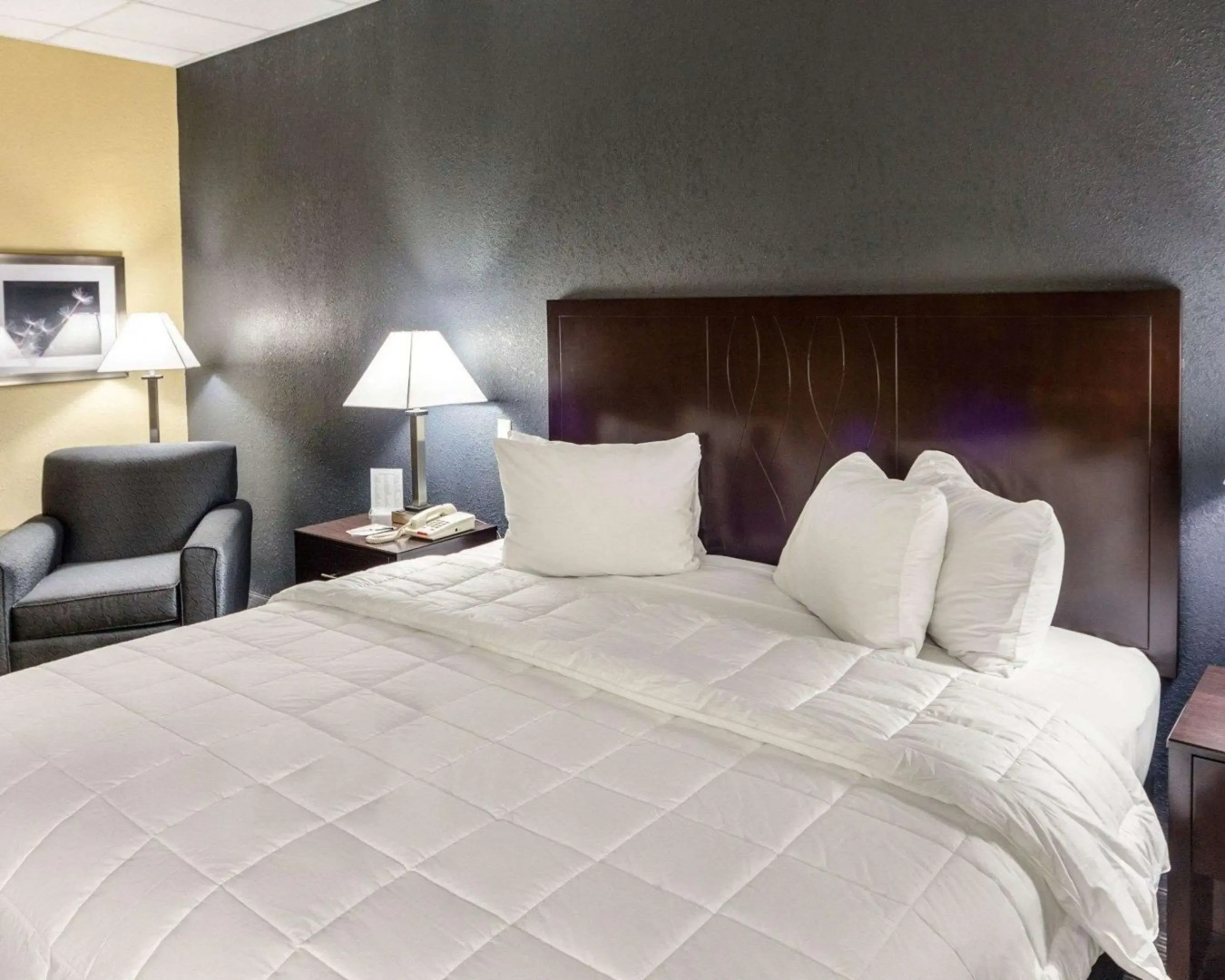 Quality Inn Montpelier