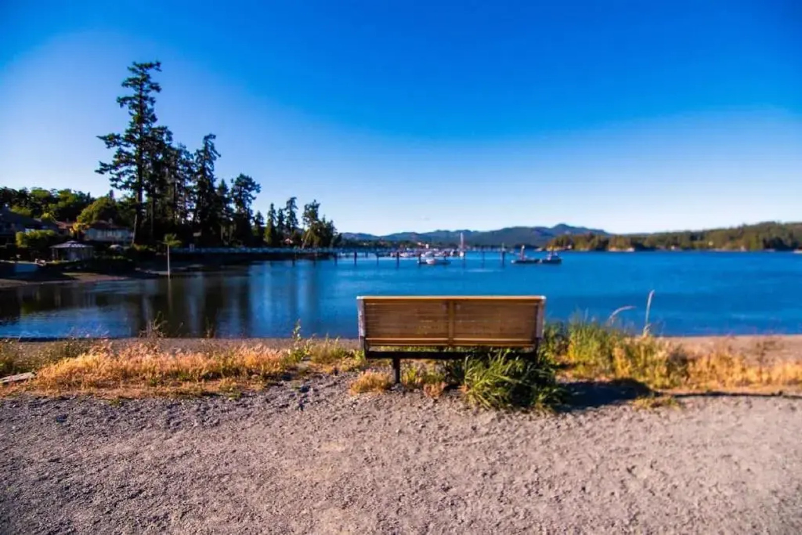 Seagull Studio Vacation Guest Suite