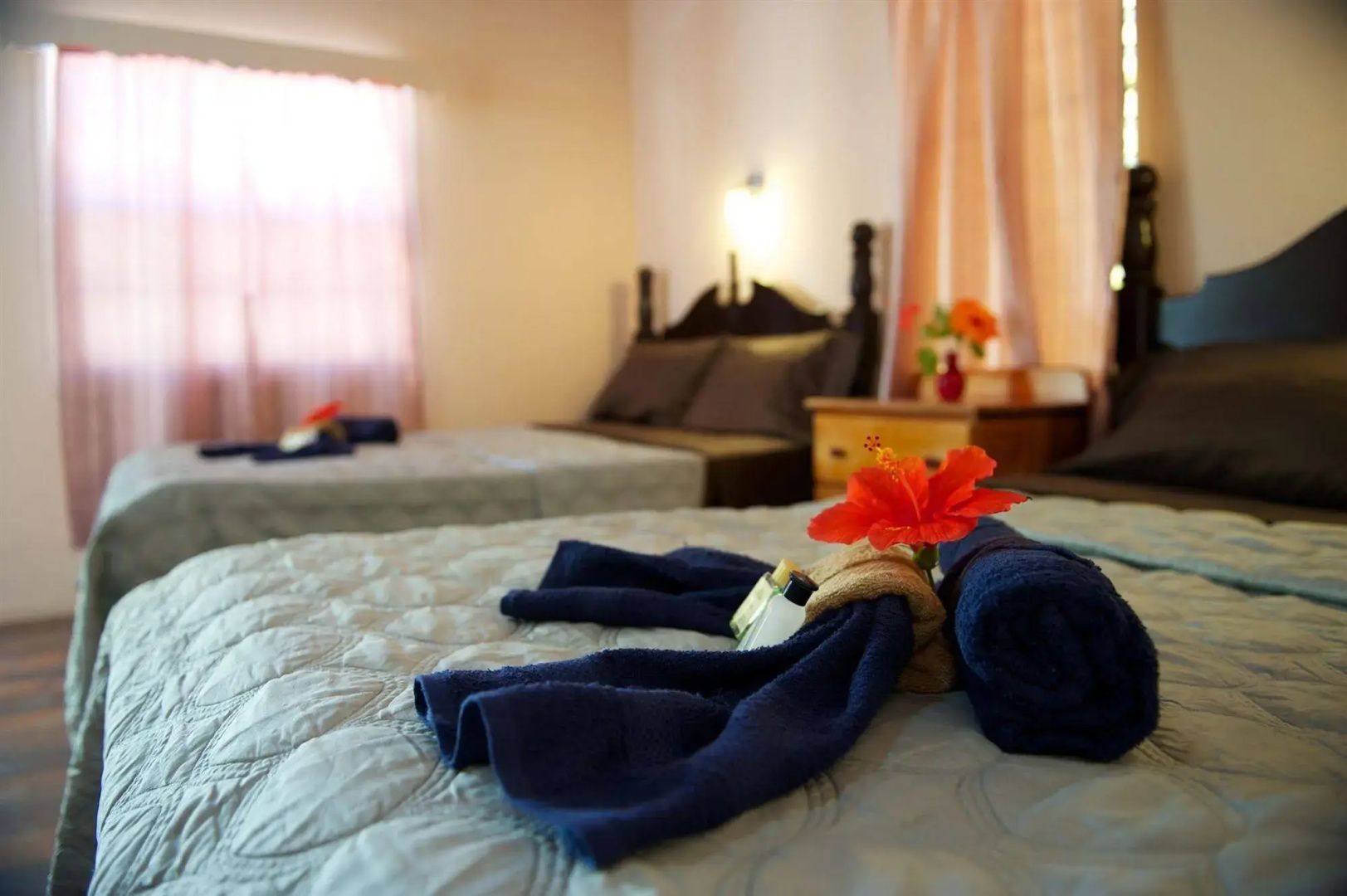 Tropical Paradise Hotel