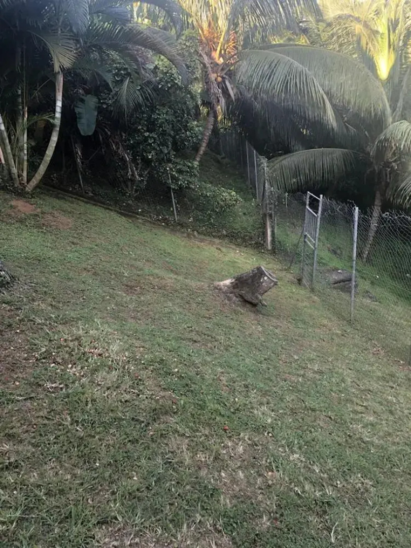 Studio in Schoelcher, with Enclosed Garden And Wifi - 500 M From the Beach