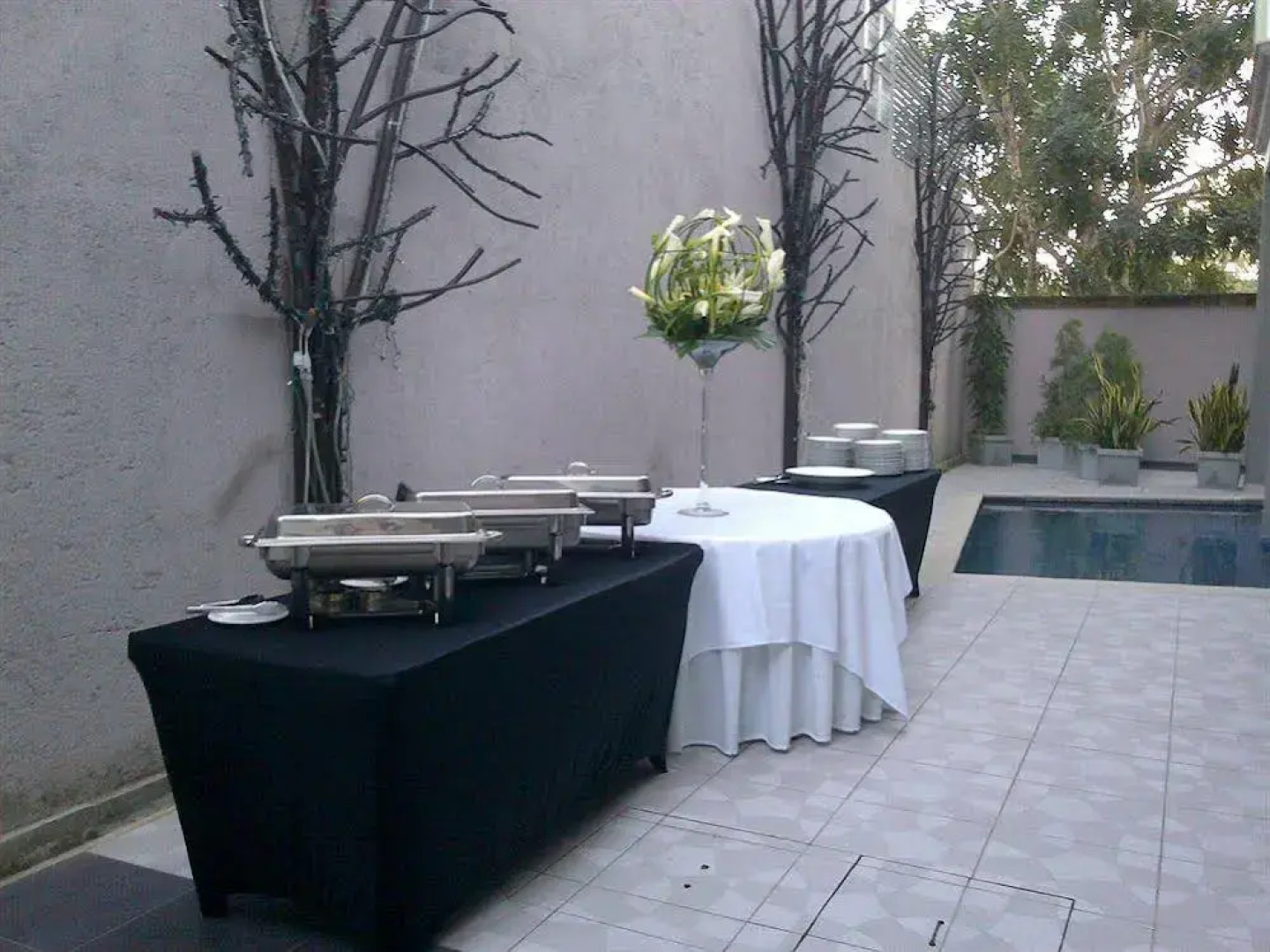 Hotel Casa del Arbol