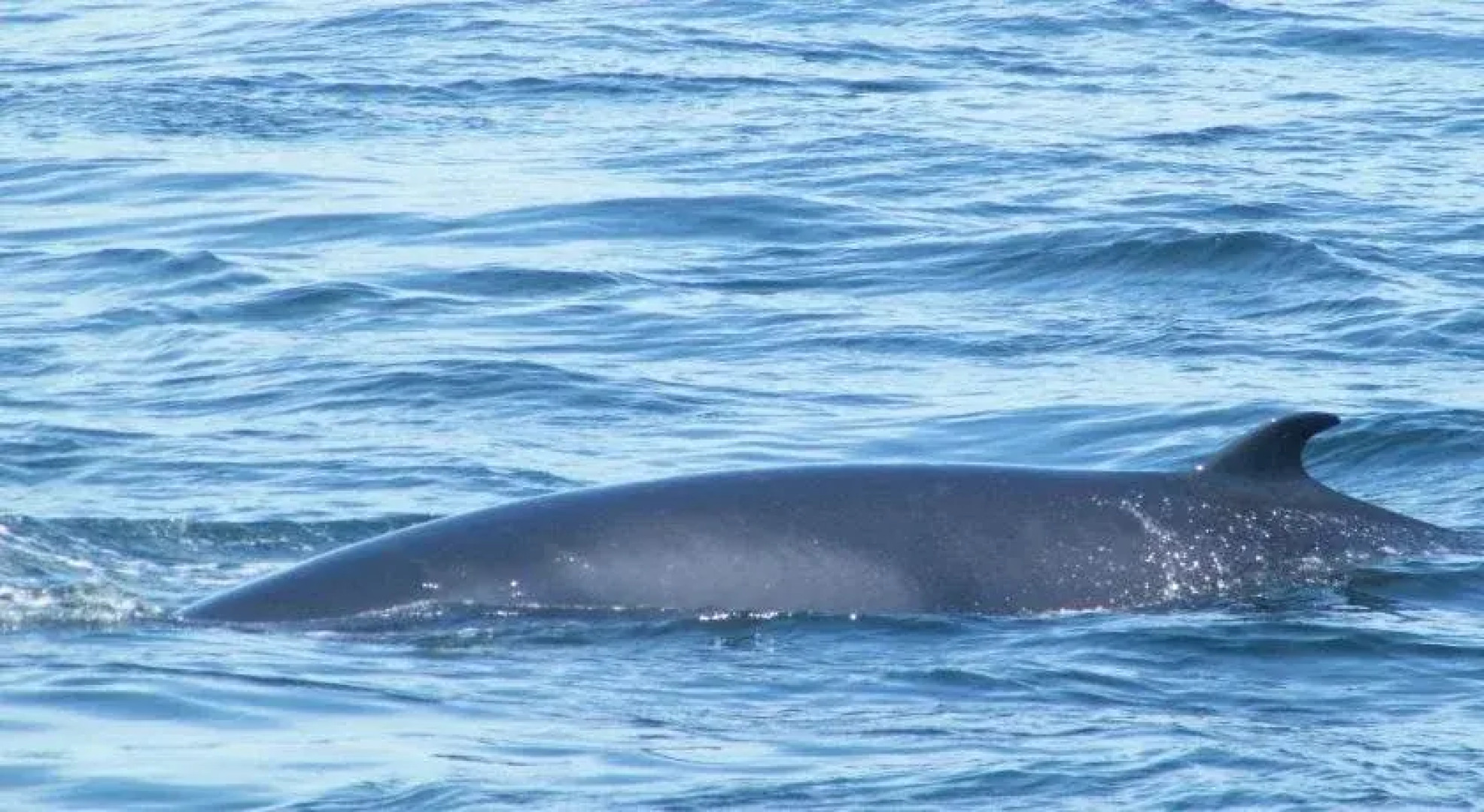 Motel Studio La Croisière