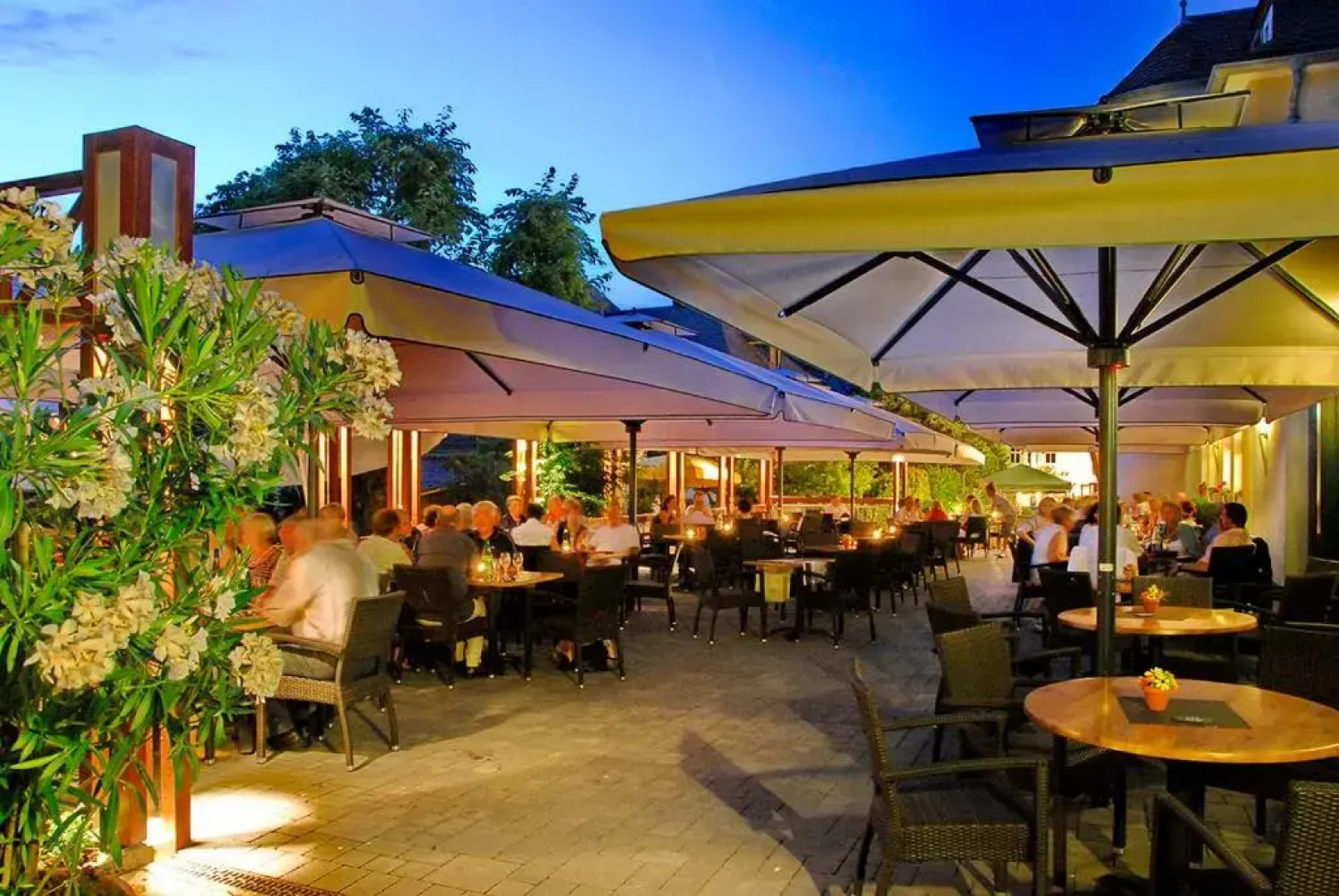 Weingut und Gästehaus Apel