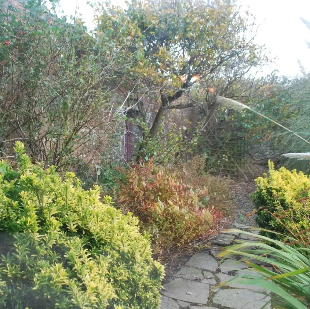 Berrylodge Country House