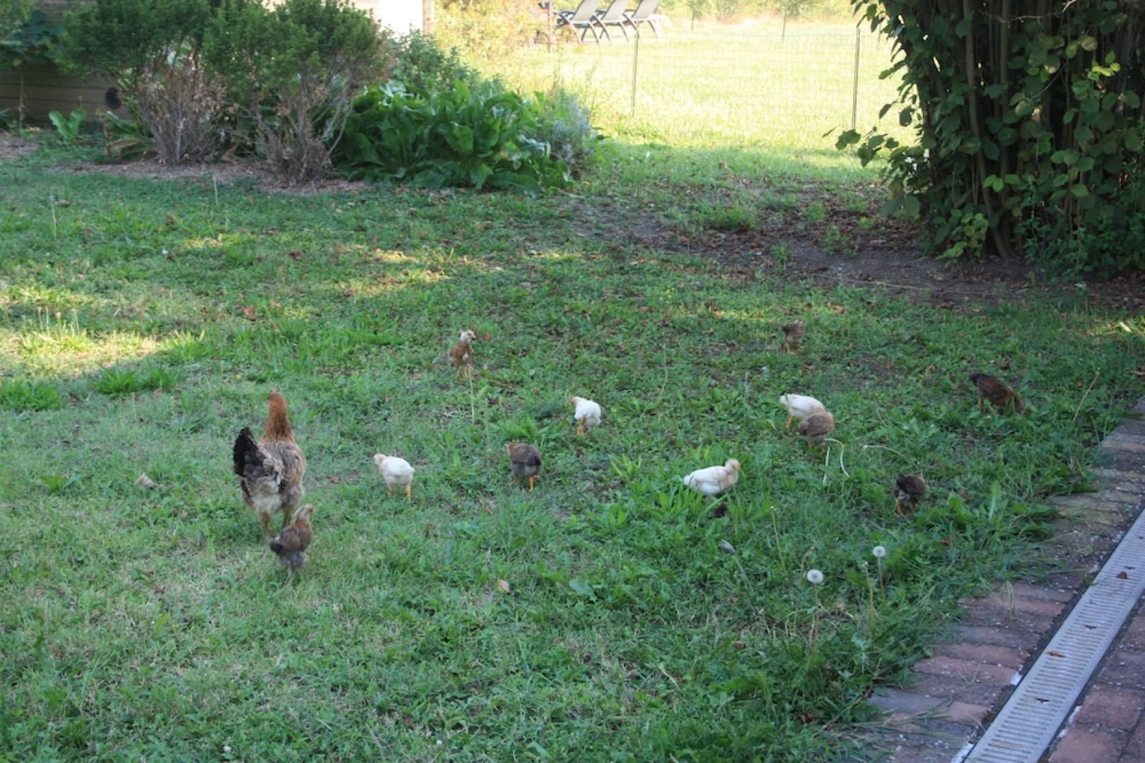 Agriturismo Valgrande