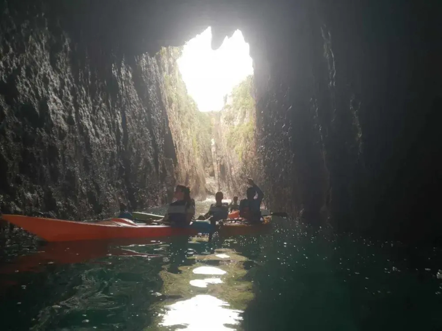 El Búho de la Remolina