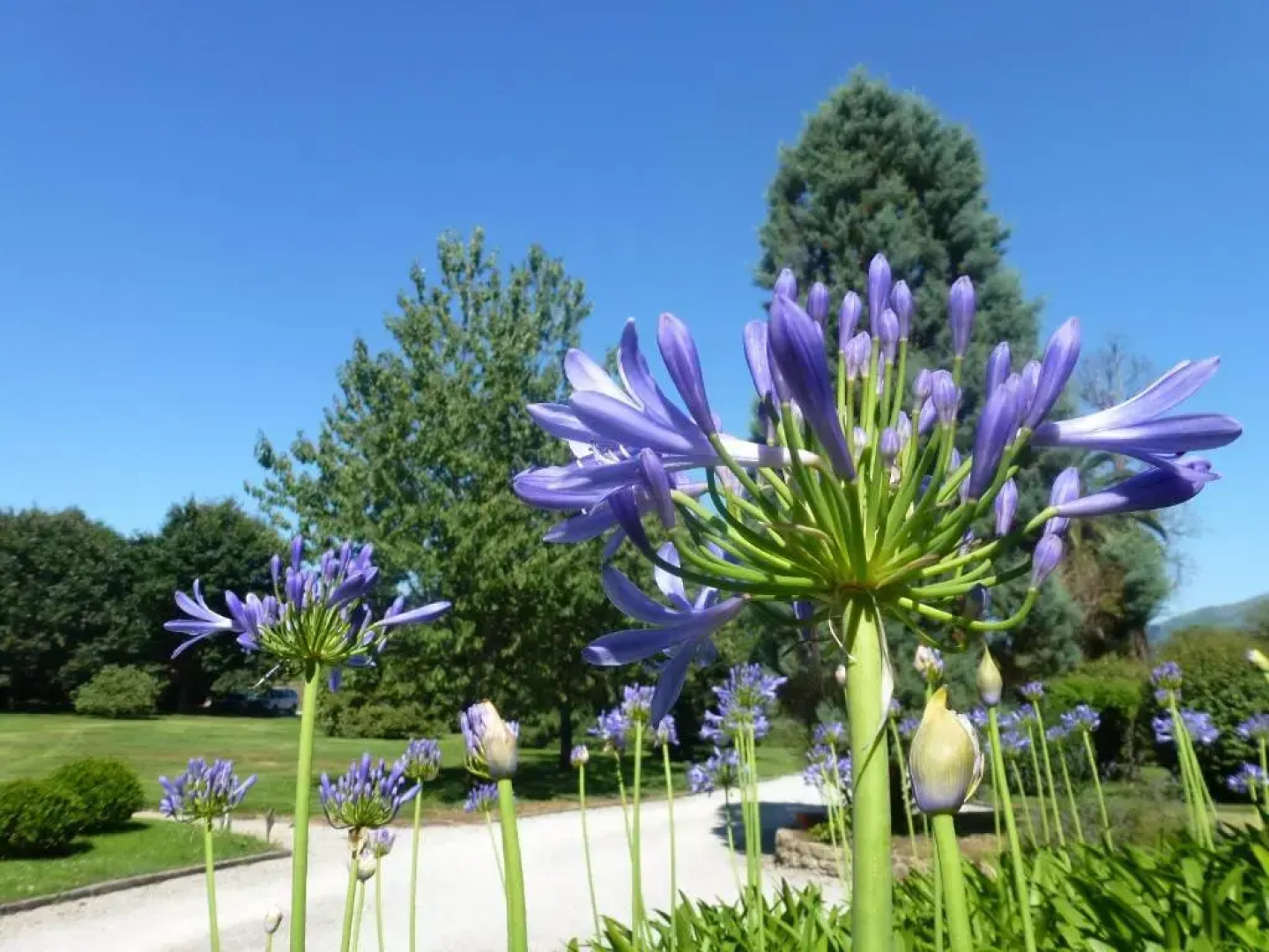 El Jardín de Carrejo