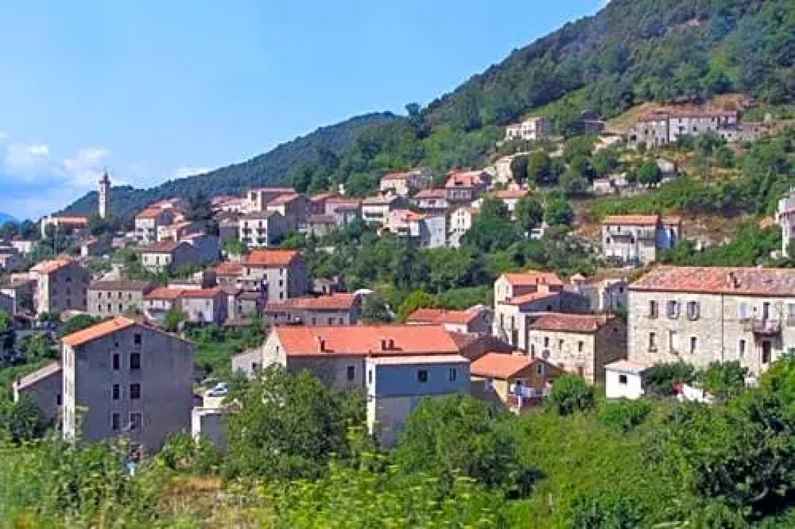 U Fragnu di perruccio