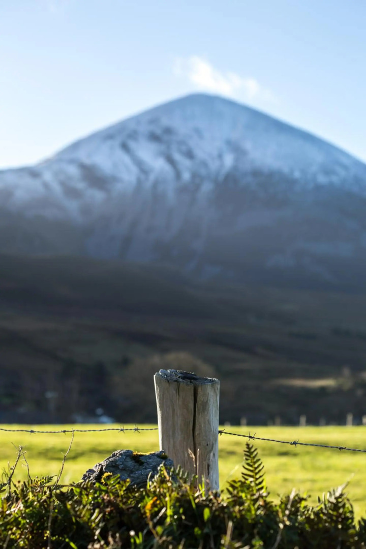 The Cottage Hillside