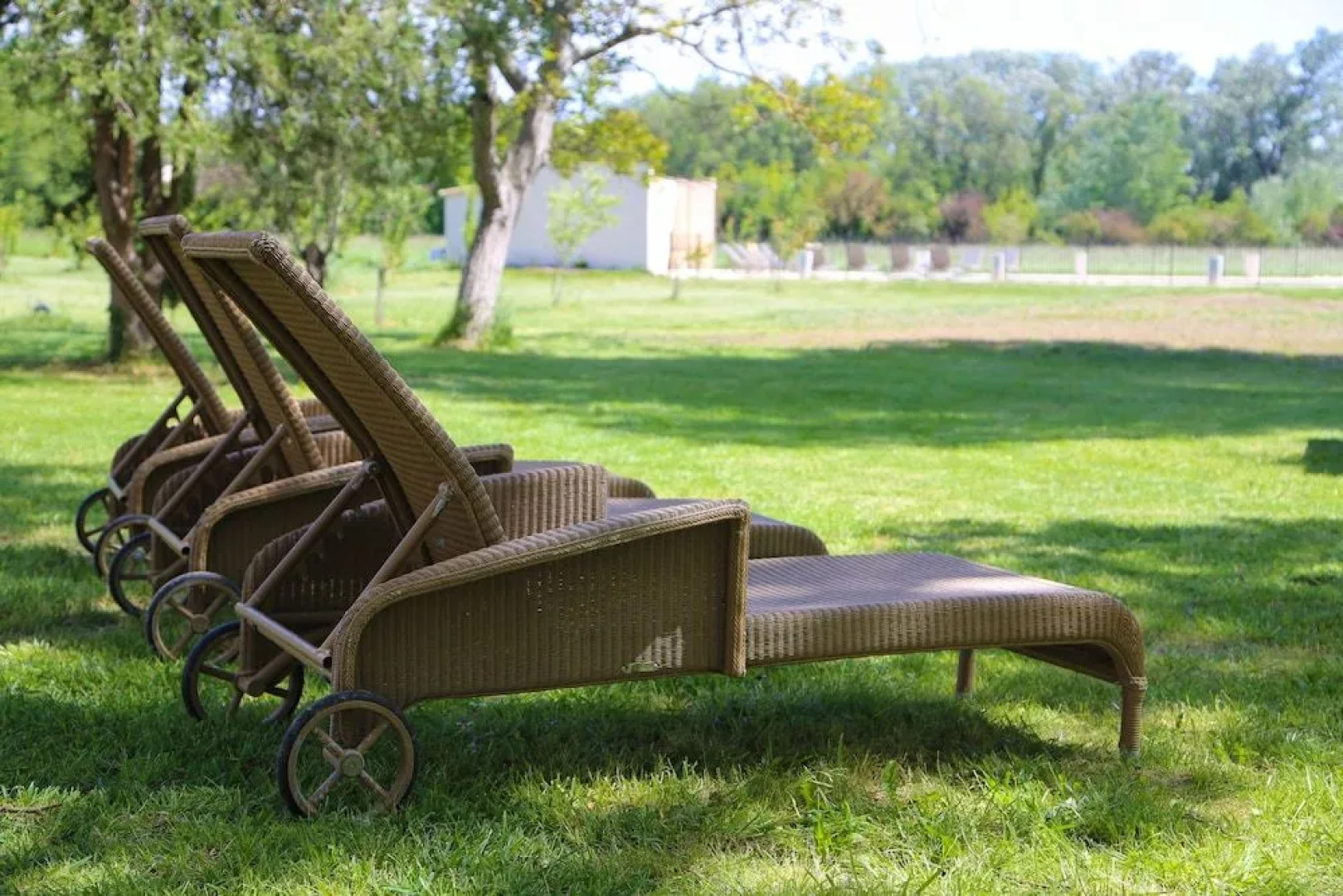 Domaine de Rochegude