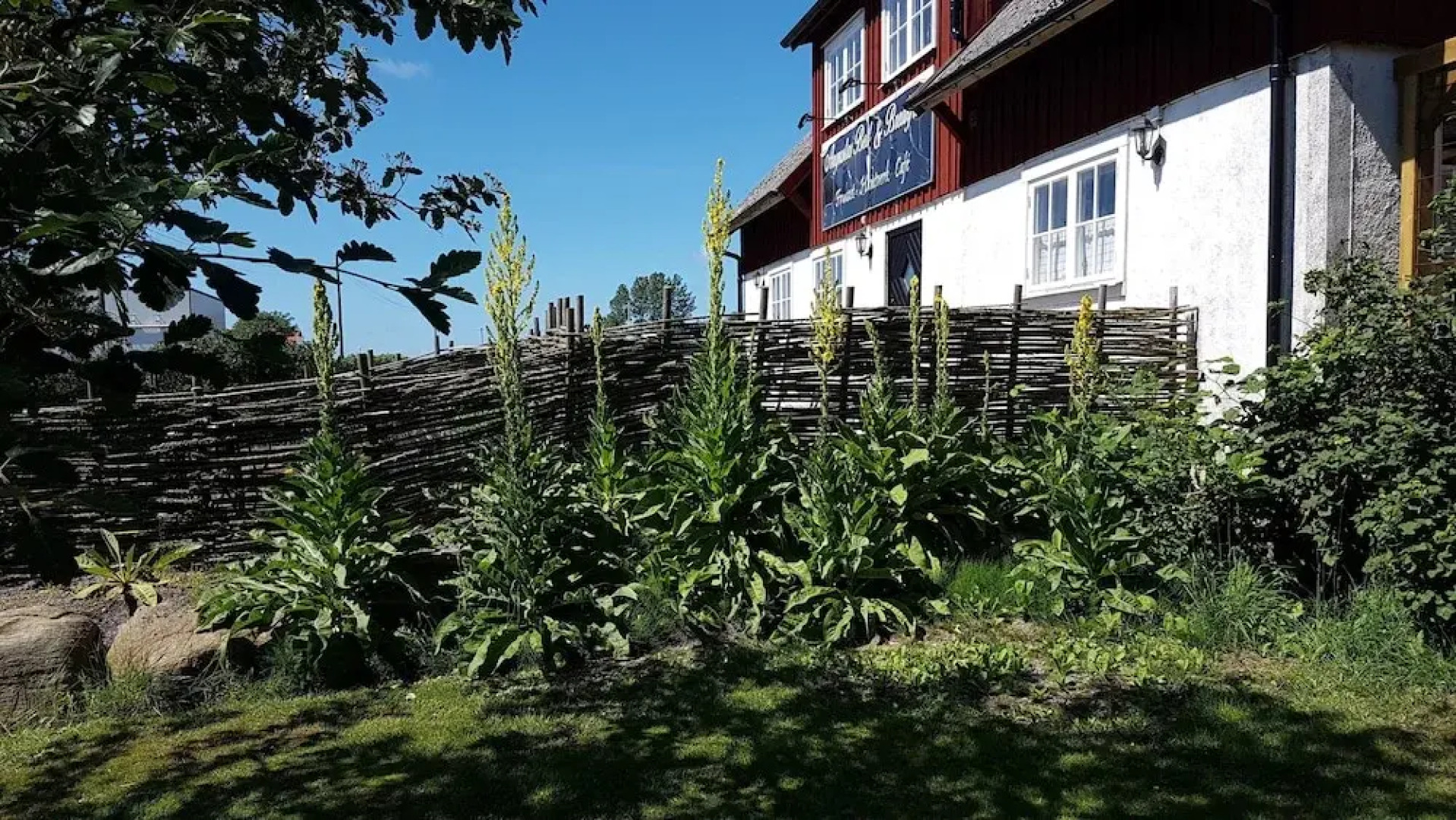 Augustas Bed & Breakfast