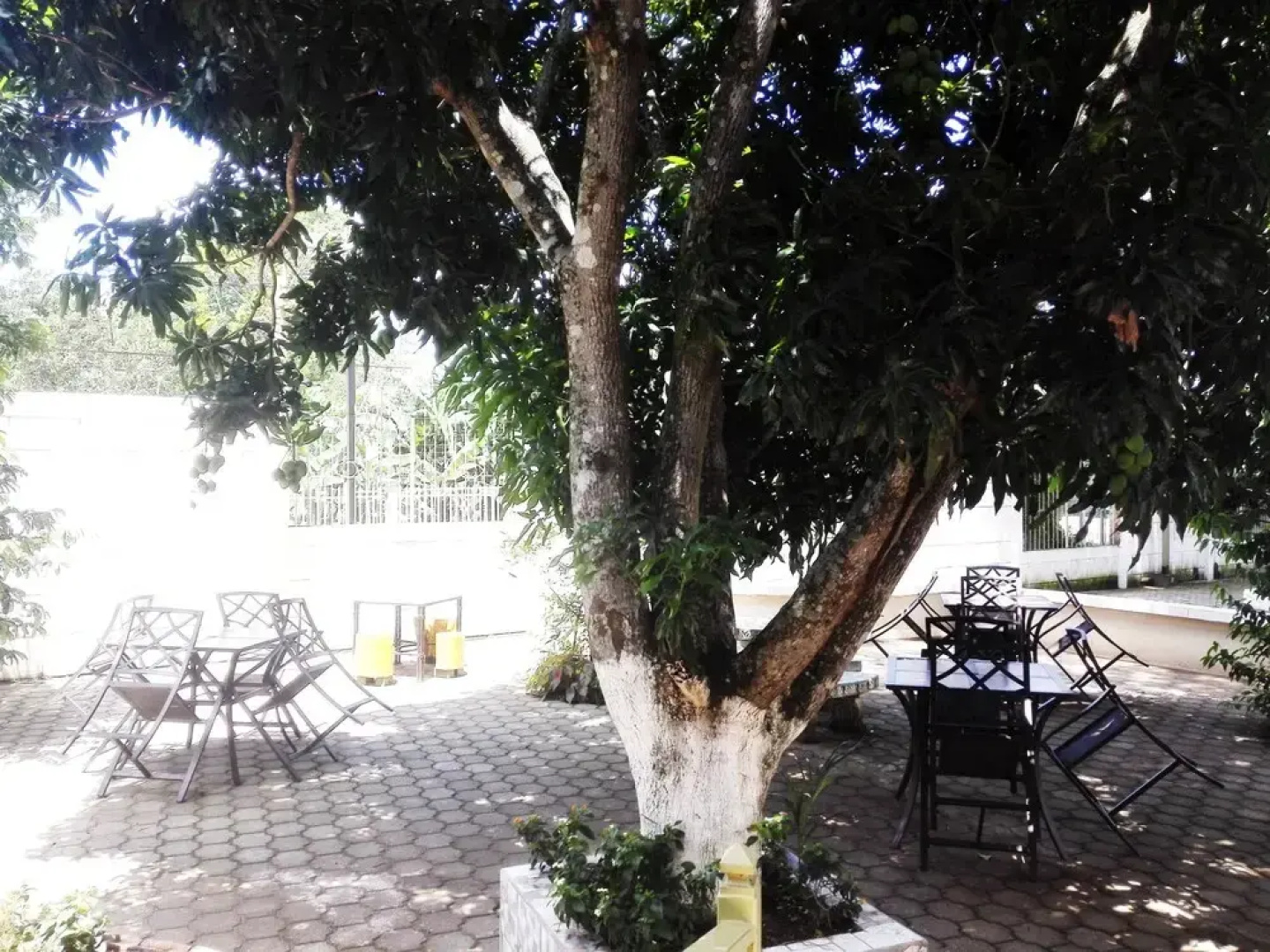Restaurante, Cigar Bar, Whisky Lounge, Hostal Suite Dos Visiones