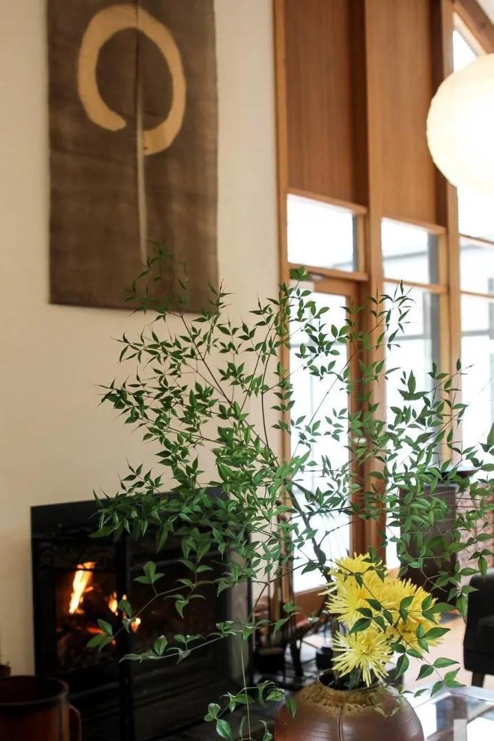 Shizuka Ryokan Japanese Country Spa & Wellness Retreat