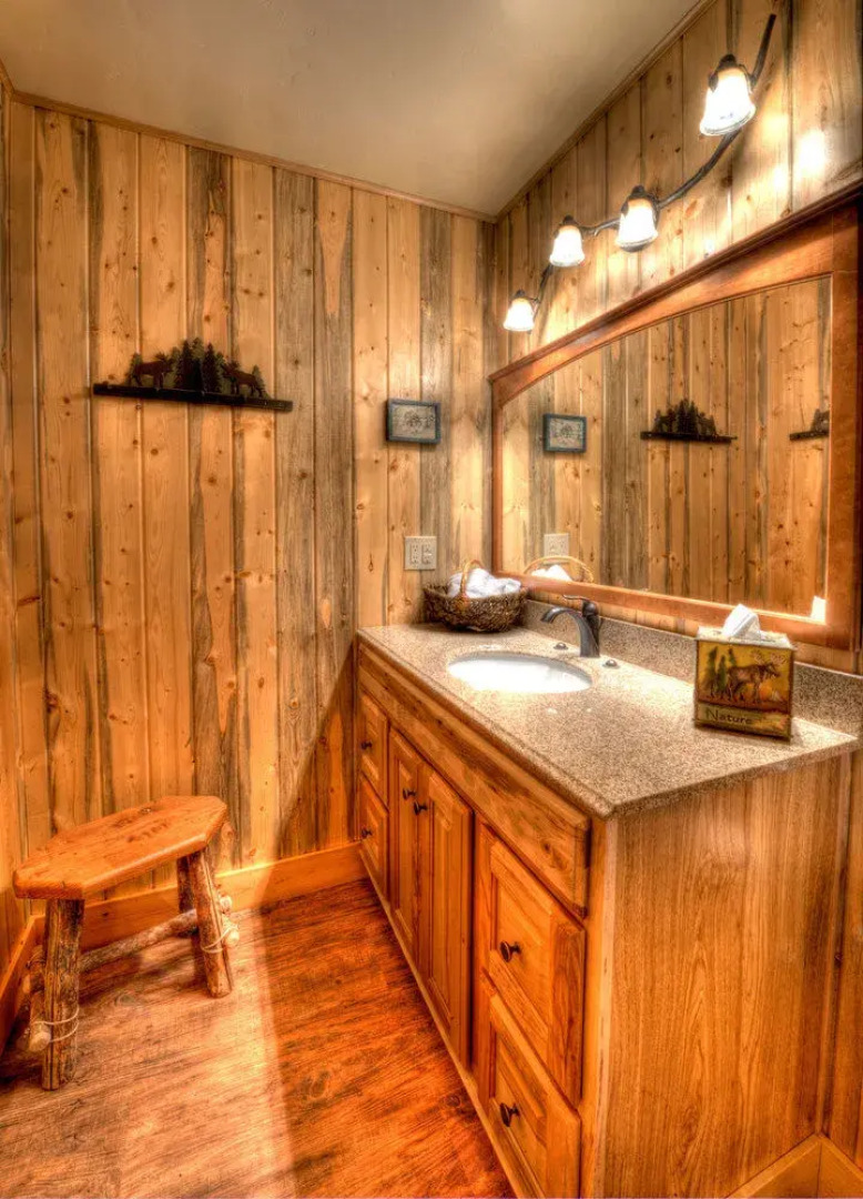 Wild Skies Cabin Rentals