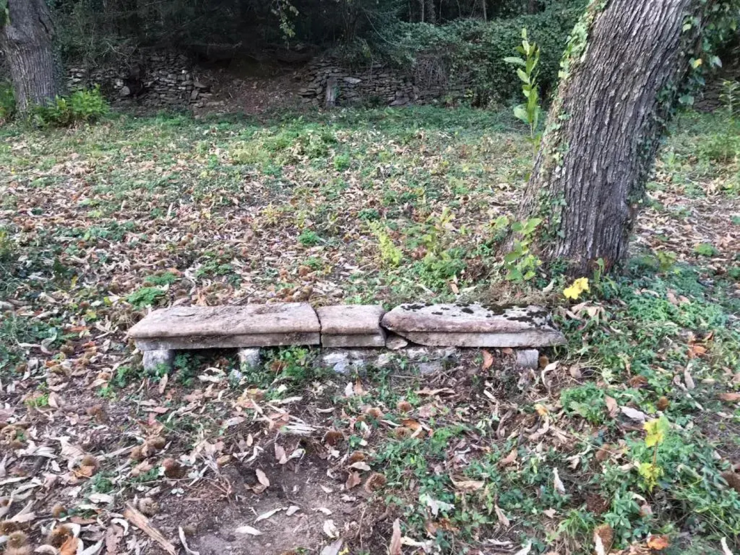 Les Plos, Gite Cosy (Adults Only)