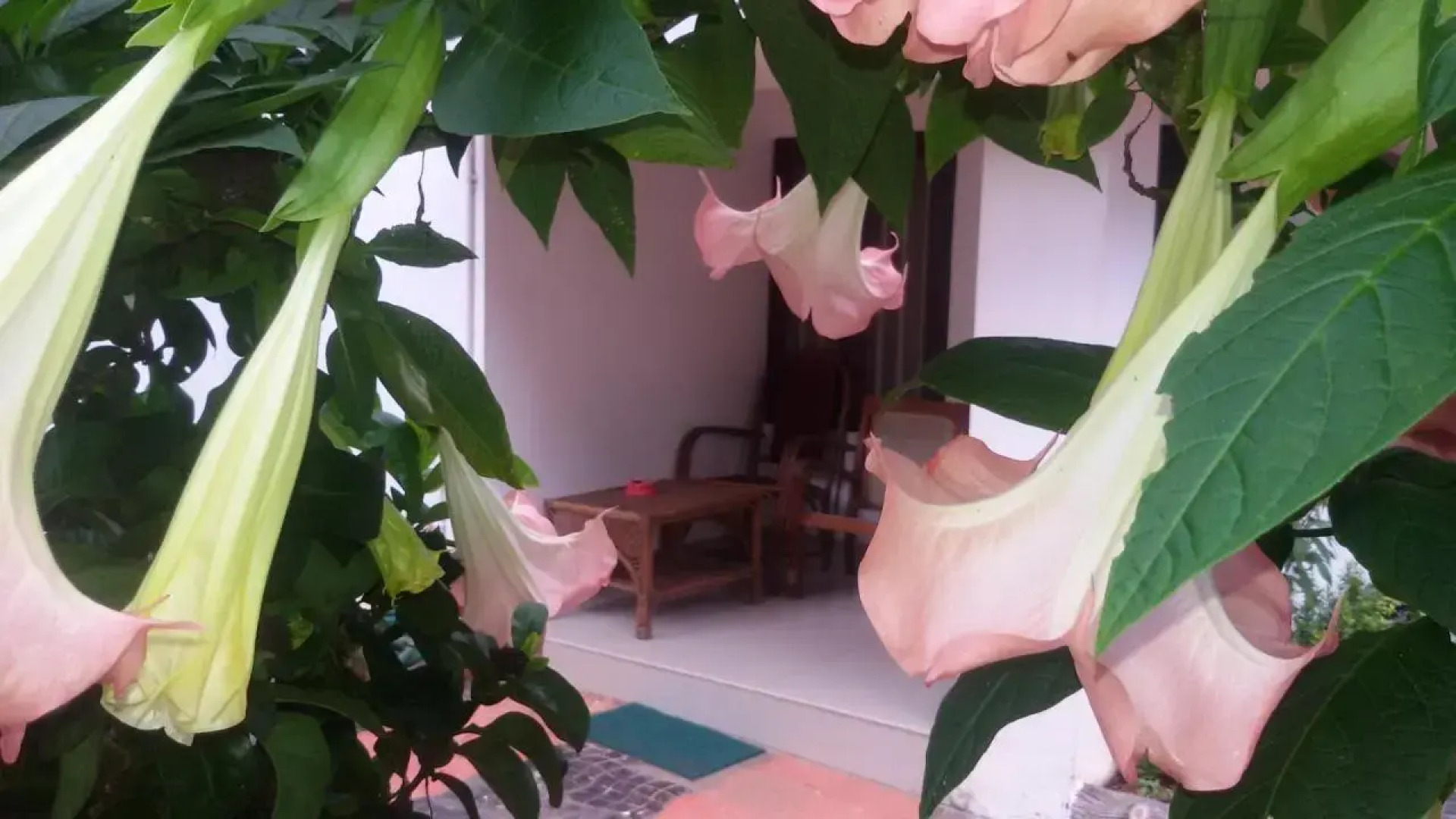 Raja Park Beach Resort