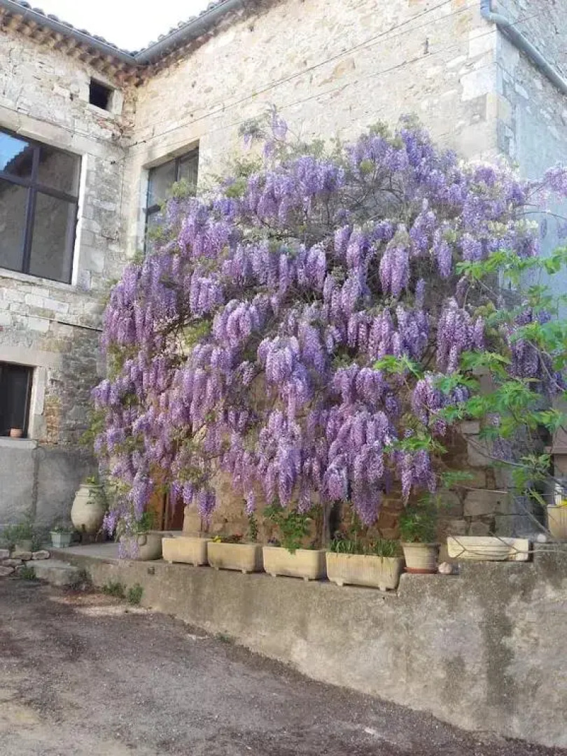 Petit appart dans dépendance château Salavas