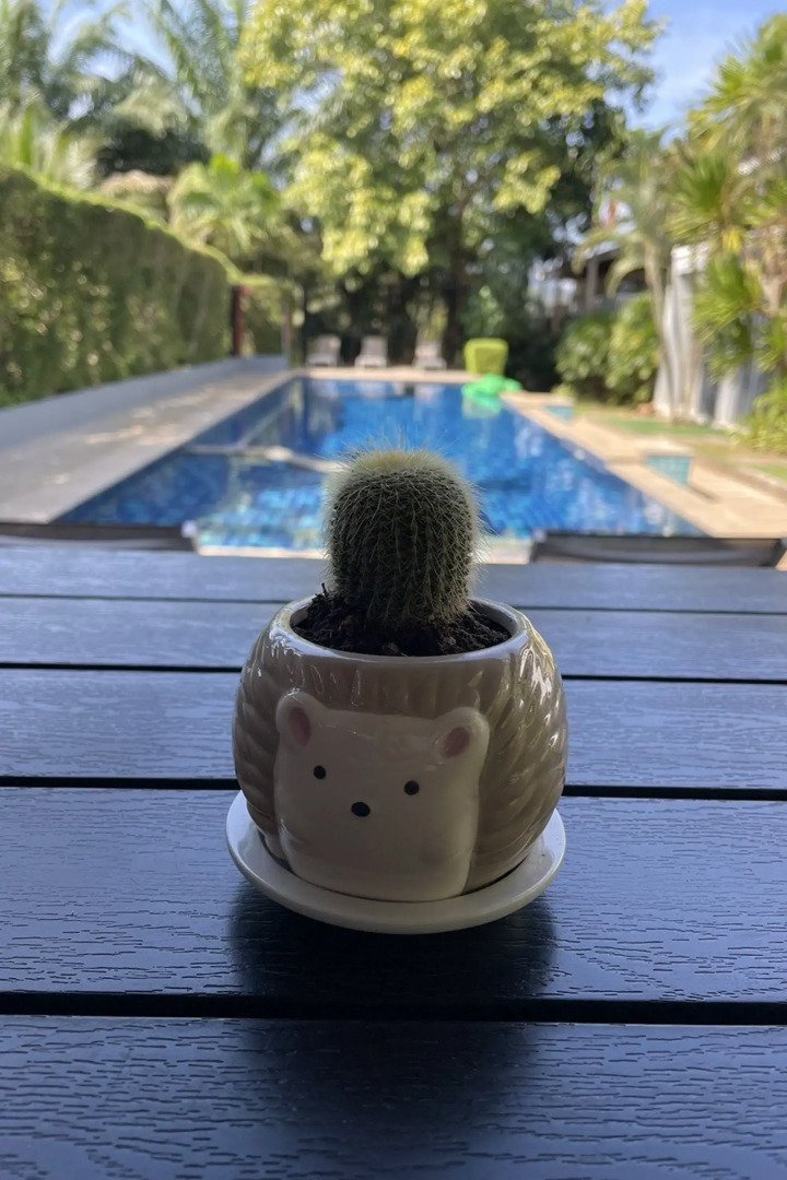 The Fong Krabi Resort