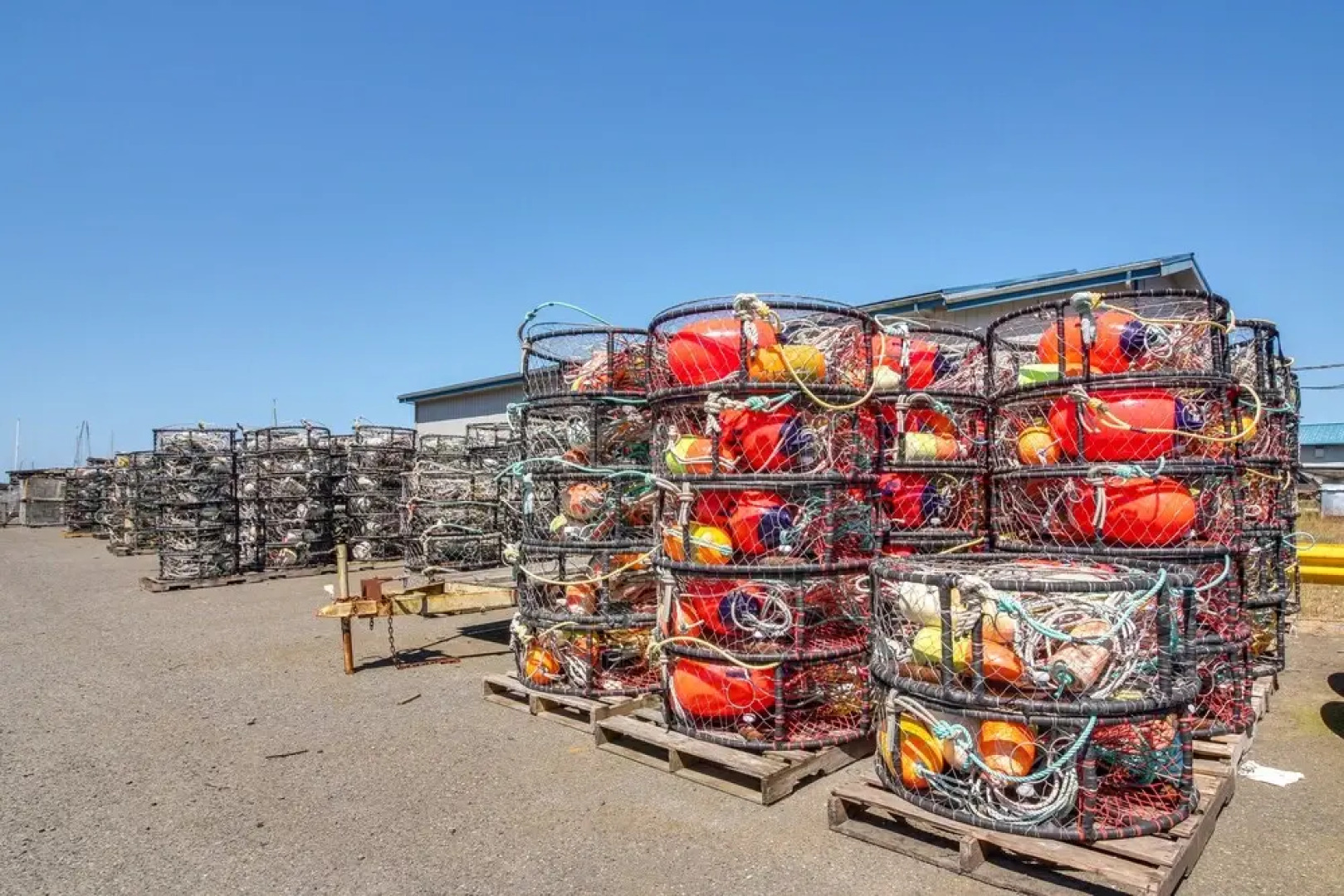 On-site Creek & Fishing: Cozy Coos Bay Retreat!