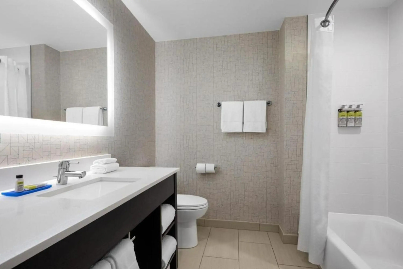 Prince Albert Lyon Bercy