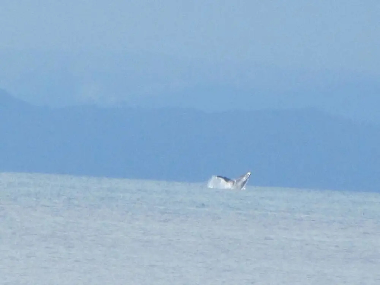 House With 2 Bedrooms in Île Sainte Marie, With Wonderful sea View and