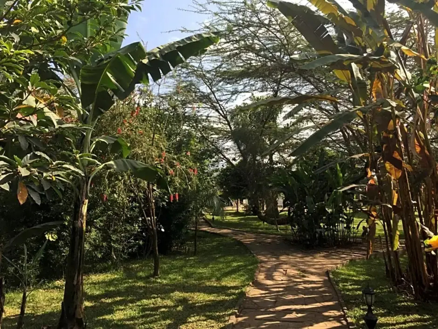 Arusha Planet Lodge