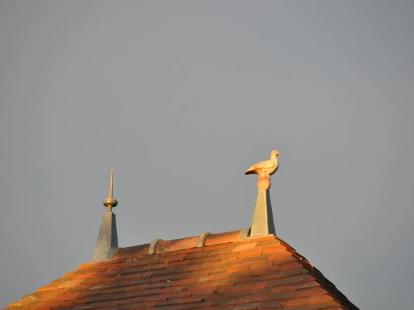 Gîte Saint-Pourçain-sur-Sioule, 2 pièces, 2 personnes - FR-1-489-30