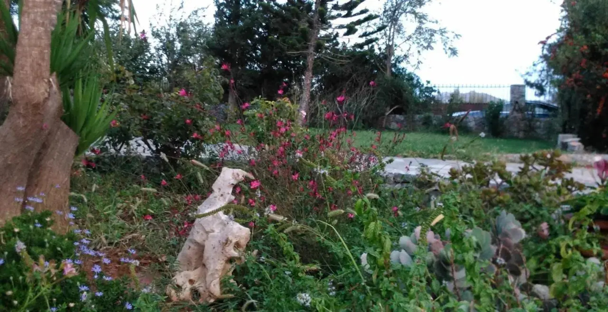 Plakias Villas Thymari & Anemos