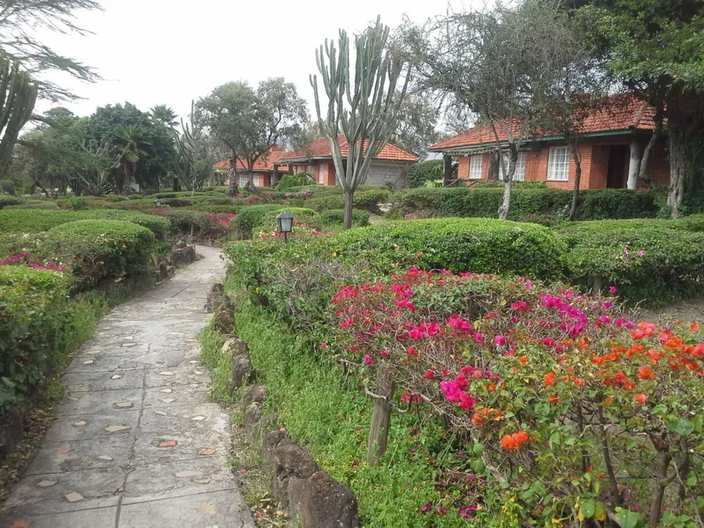 Jacaranda Lake Elementaita Lodge