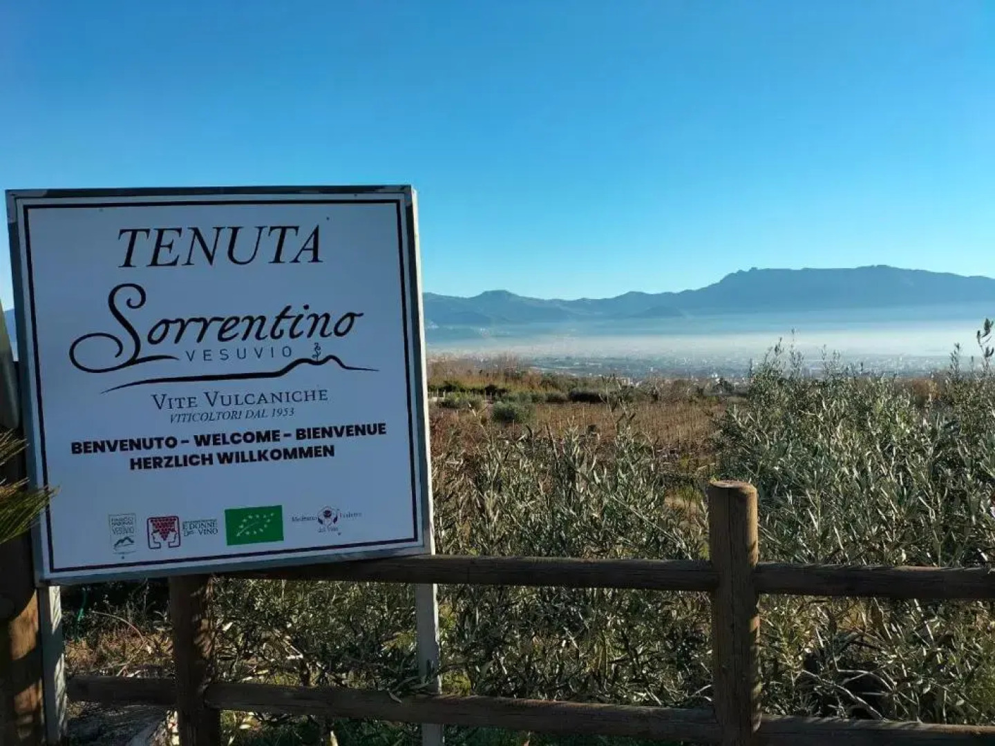 Vesuvio Inn Bed & Wine Experience