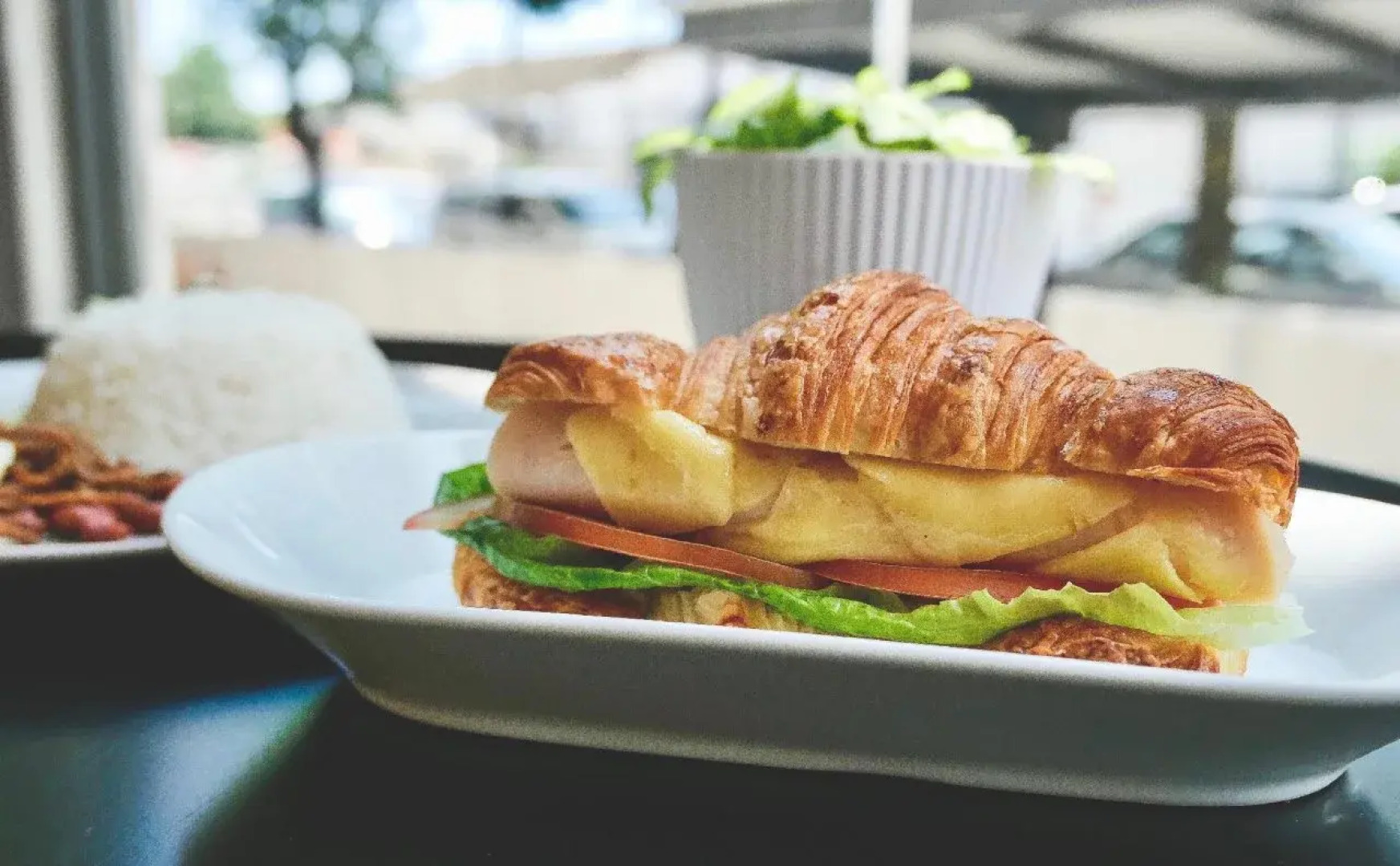 Tropics Eight Suites