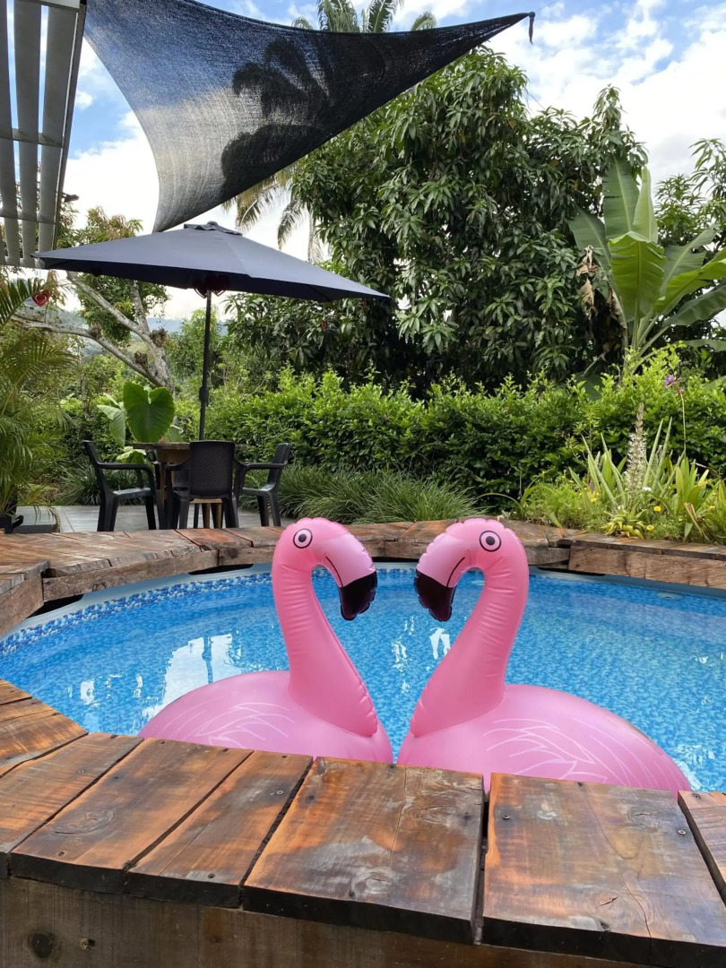 Cabañas Los Tulipanes