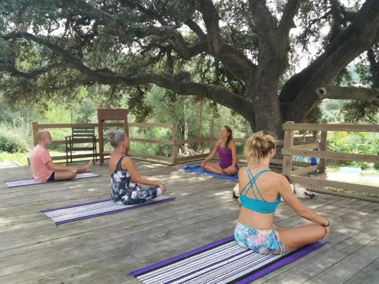 Masía Cal Simó Reservas de 1 a 4 burbujas de 6 pers de convivencia y extensivas