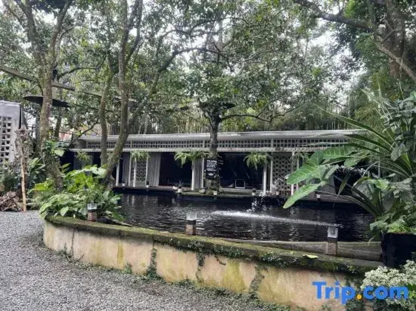 The Ravine by One Selah