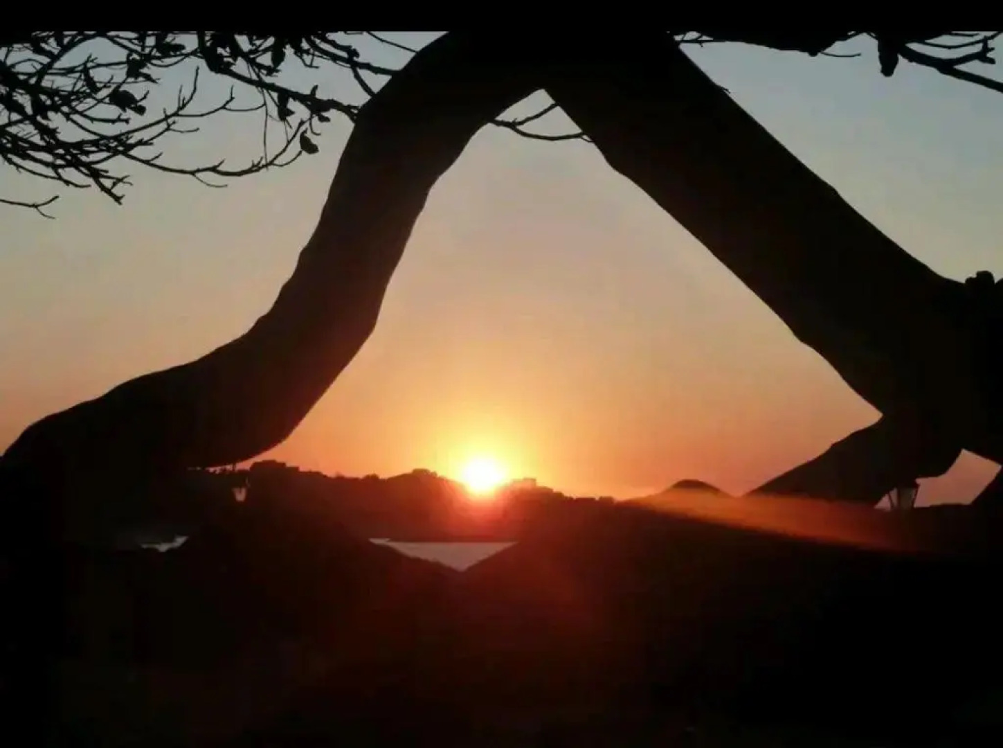 Studio standing Algajola *** vue mer