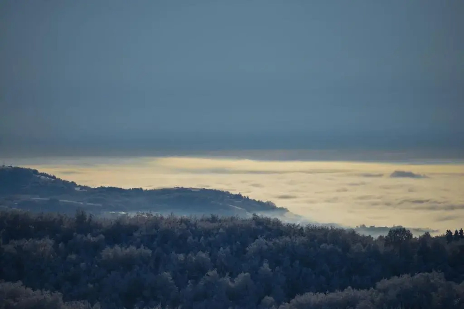 Guest House Lagotto's Peak
