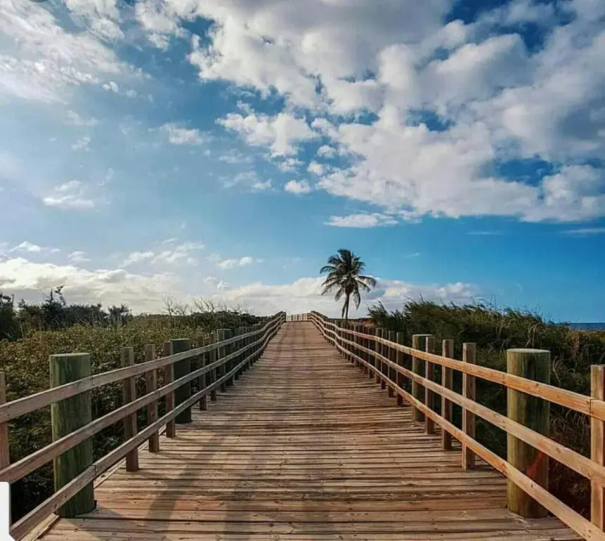 Jobos Beach Apartment A-3