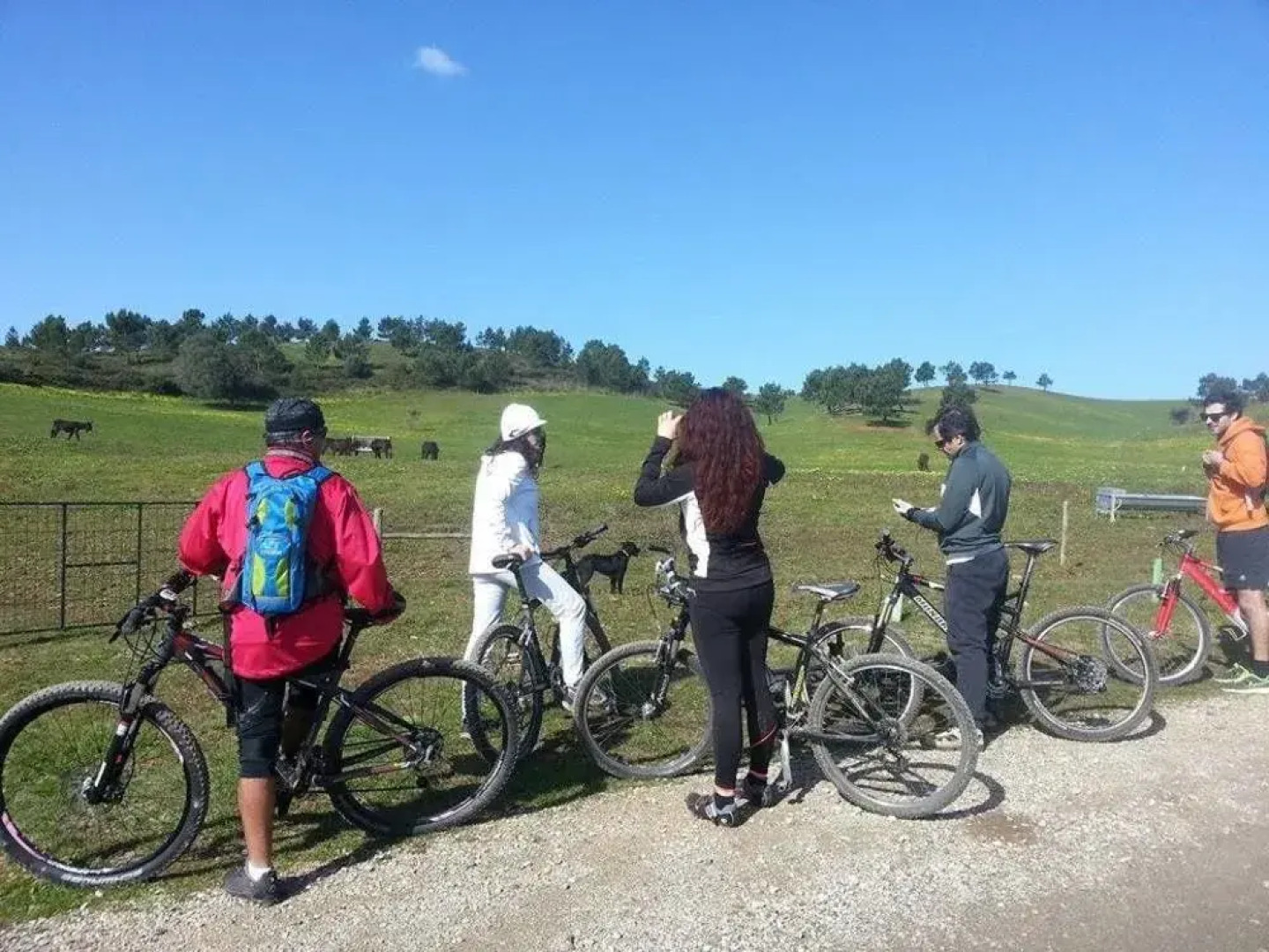 BLUE Boutique Hostel & Suites