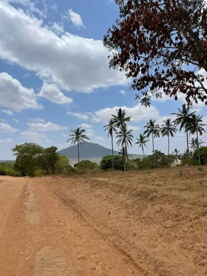 Room in Guest Room - Dolphin Suite 40 m2 in Villa 560 m2, Indian Ocean View