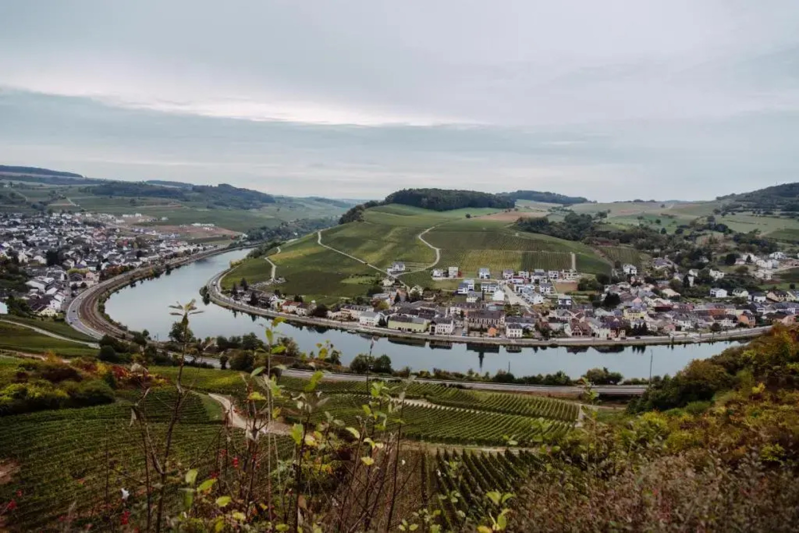 Weingut und Gästehaus Zilliken