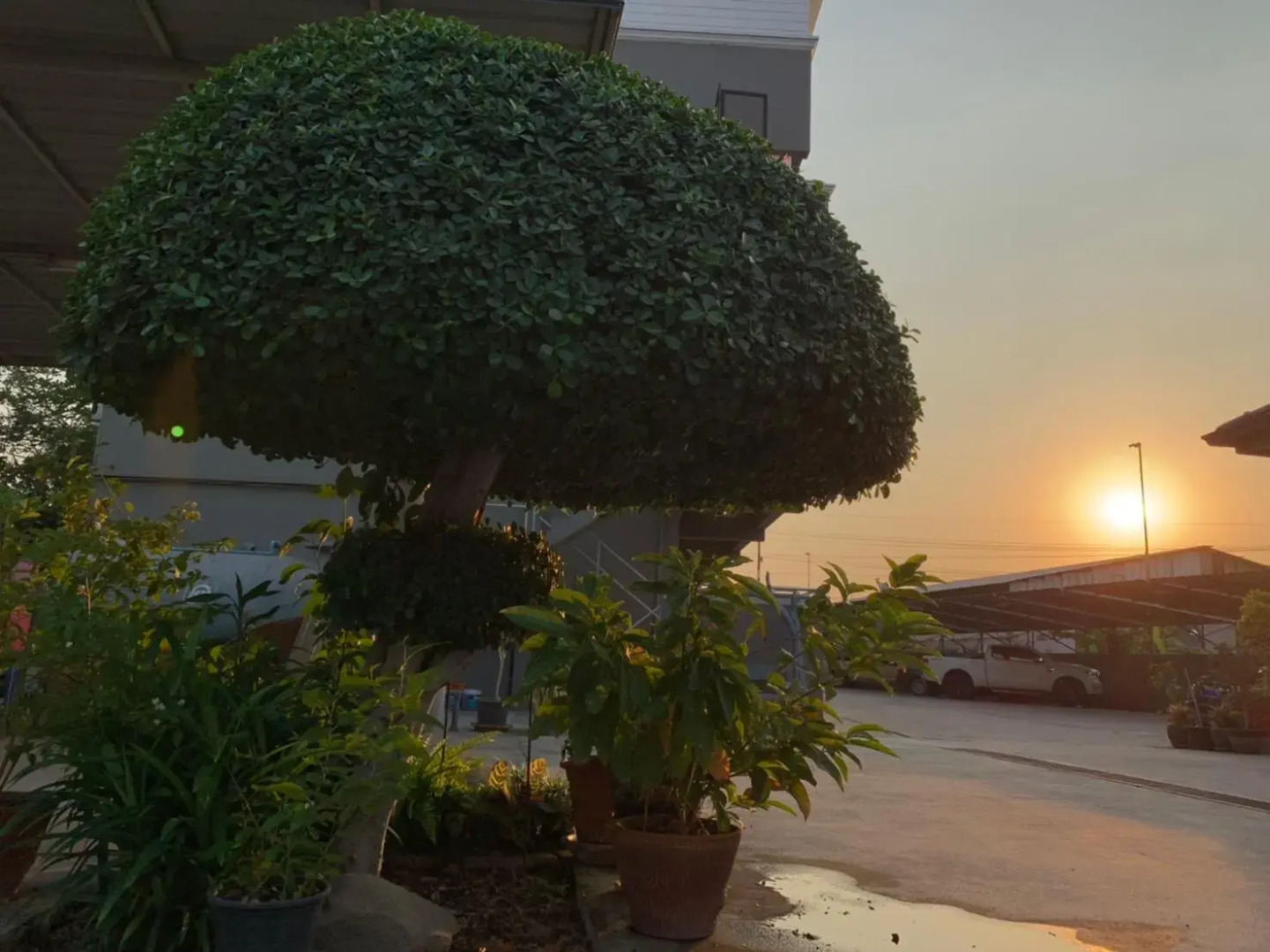 Hotel M Rojana Ayutthaya