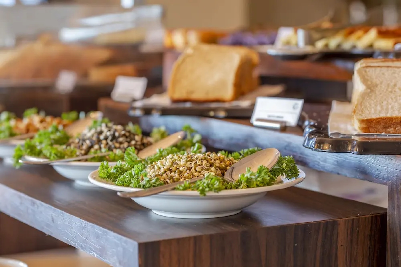 Fortune Park Dalhousie - Member ITC Hotels' Group